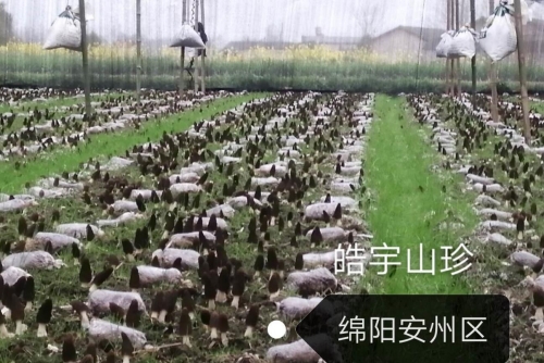&#24320;&#20803;&#32593;&#31449;&#30331;&#24405;&#20837;&#21475;&#95;&#24320;&#20803;&#65288;&#20013;&#22269;&#65289;